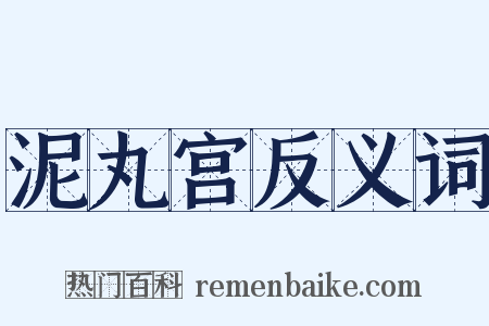 泥丸宫反义词是什么意思的图片